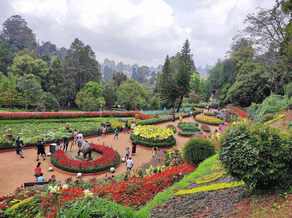 ooty-nilgiri-hills-october