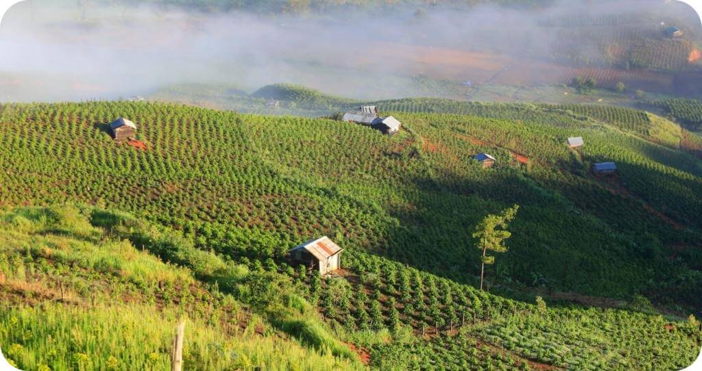 Araku Valley, Andhra Pradesh