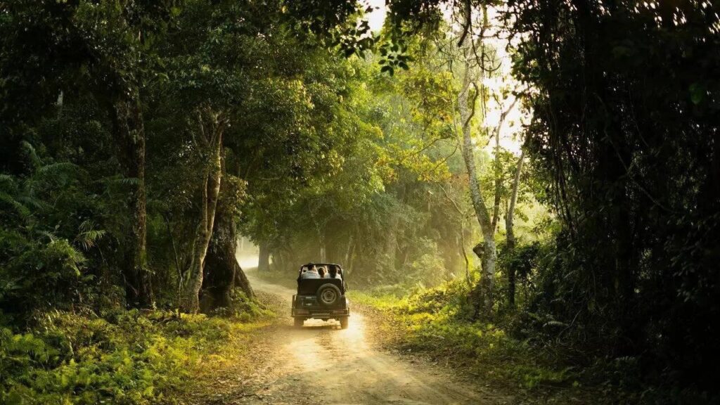 Best Time for a Karnataka Wildlife Safari