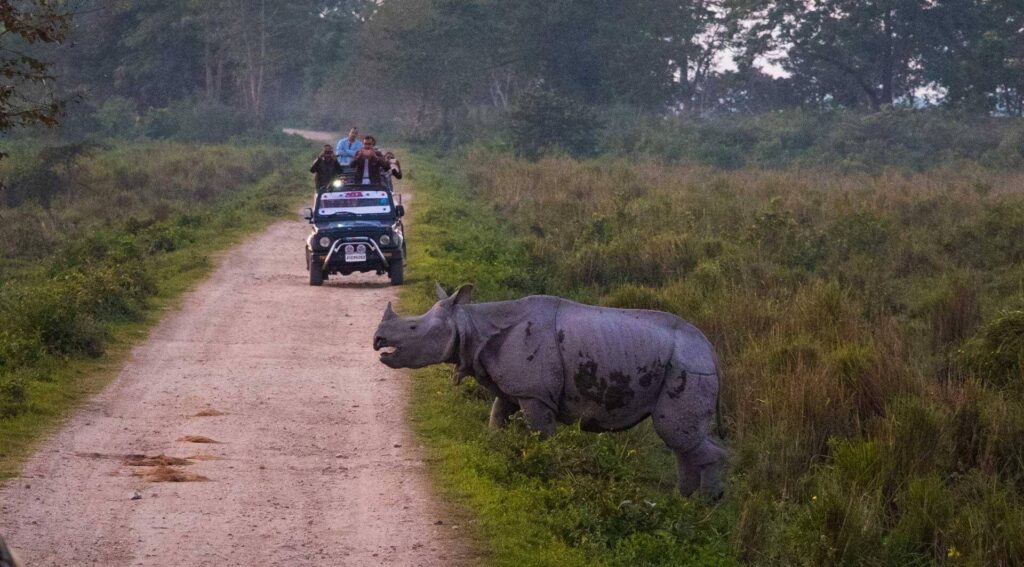 Dooars, West Bengal