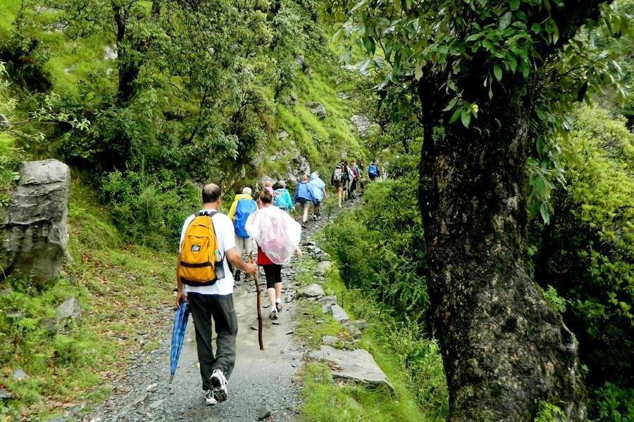 Forest & Village Adventure Walks