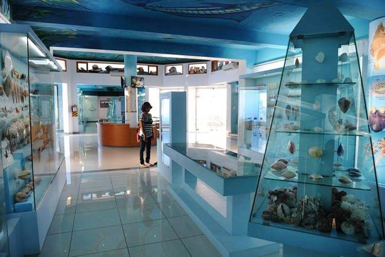 India Seashell Museum Mahabalipuram