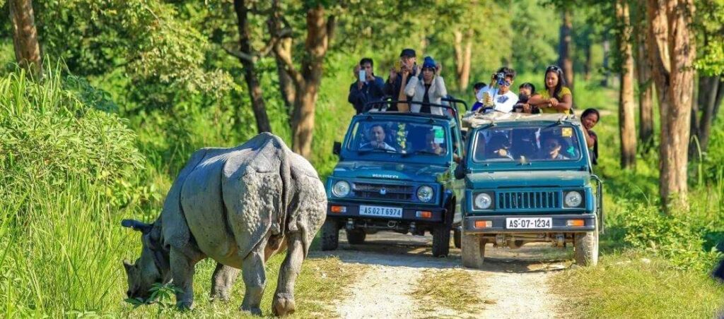 Kaziranga National Park, Assam
