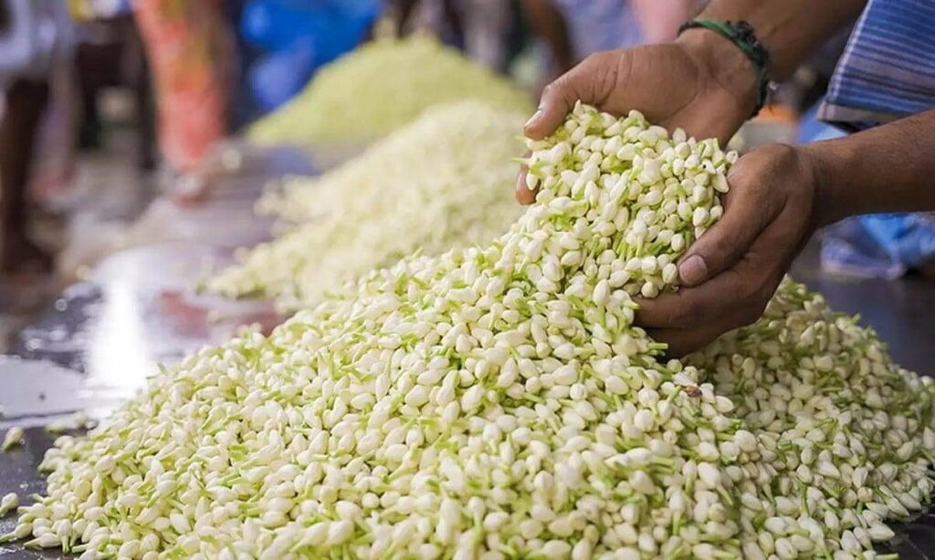 Madurai Flower Market