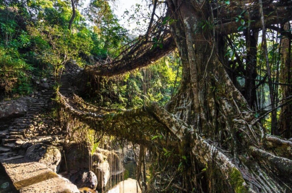 Mawlynnong, Meghalaya