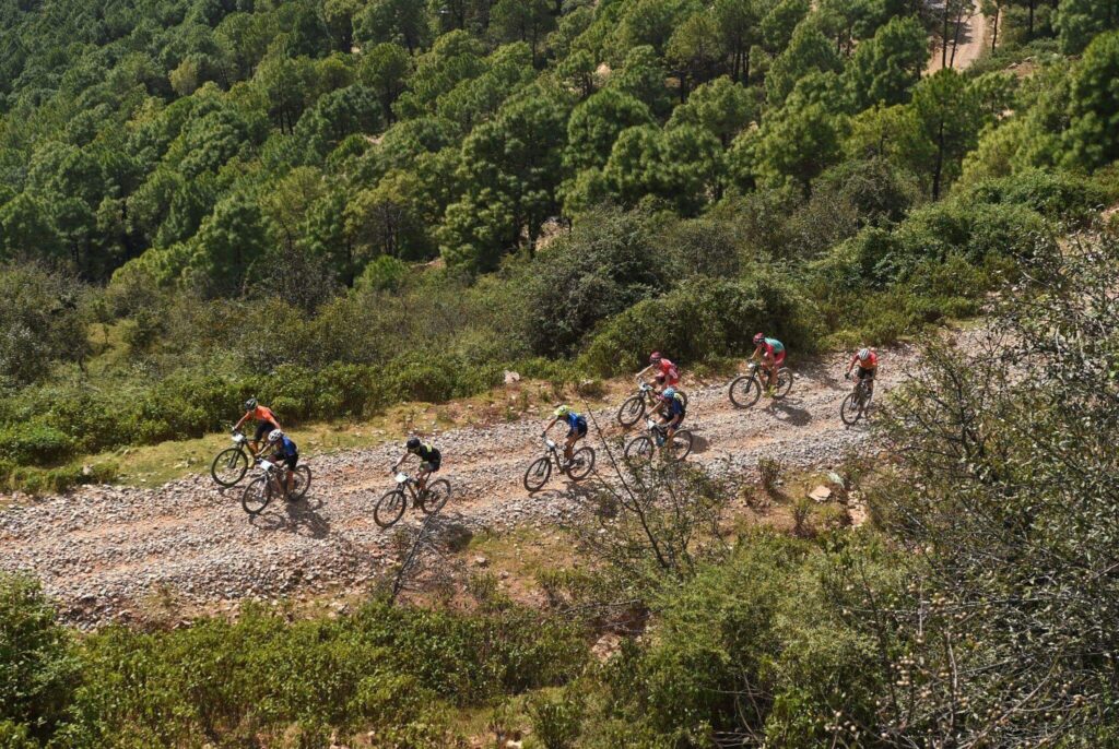 Mountain Biking in Kangra Valley