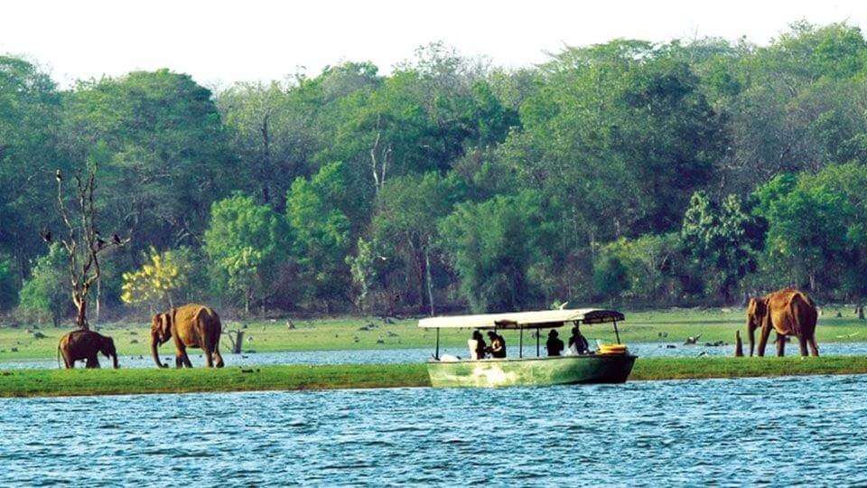 Nagarhole National Park Karnataka