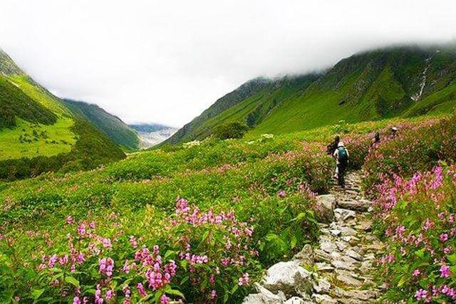Valley of Flowers, Uttarakhand