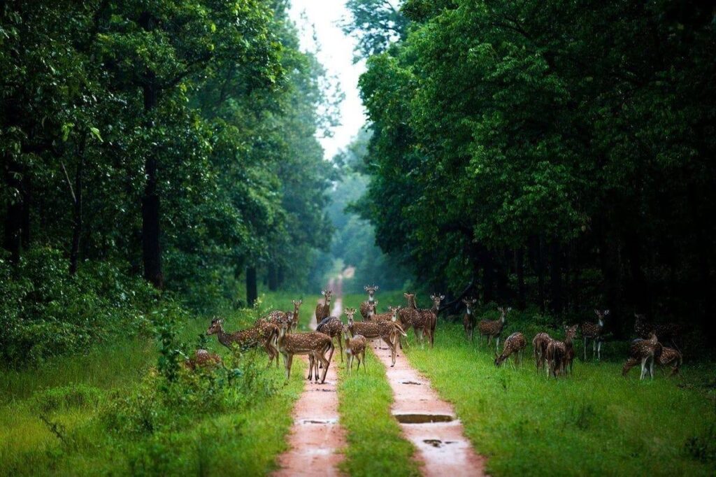 Wayanad, Kerala