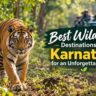Wildlife Destinations in Karnataka
