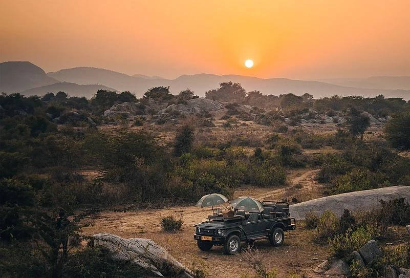 Alwar & Sariska safari