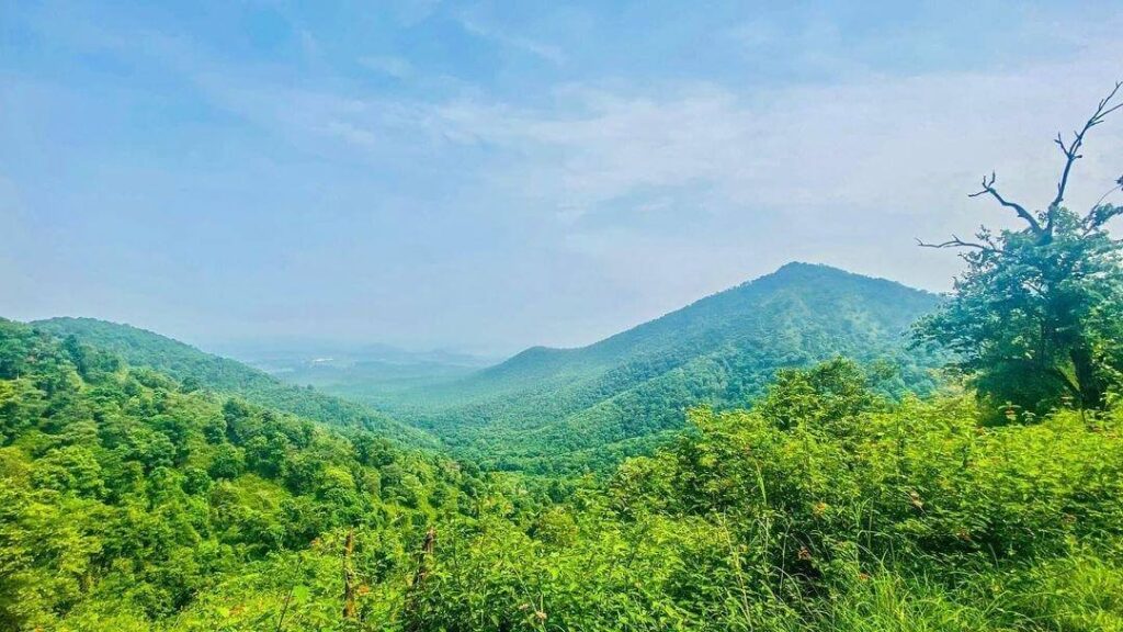 B.R. Hills Wildlife Sanctuary, Karnataka