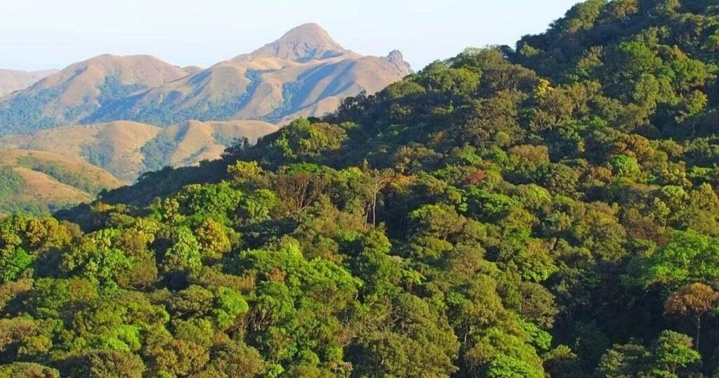 Bannerghatta National Park, Karnataka