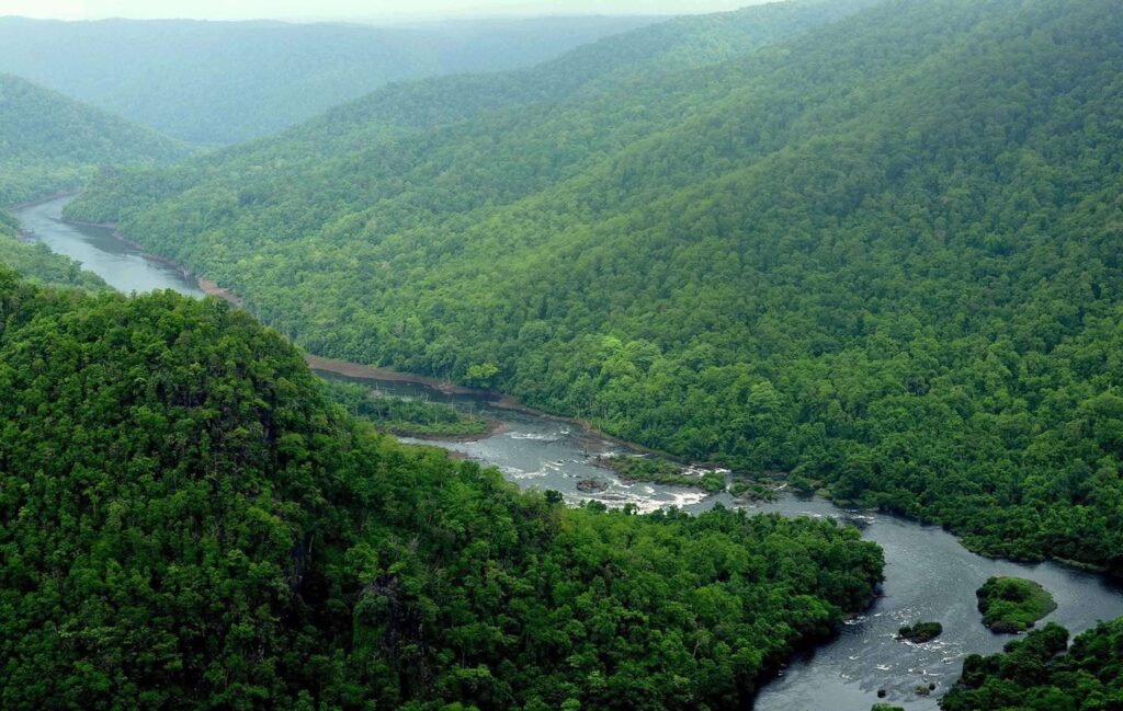 Dandeli Wildlife Sanctuary, Karnataka