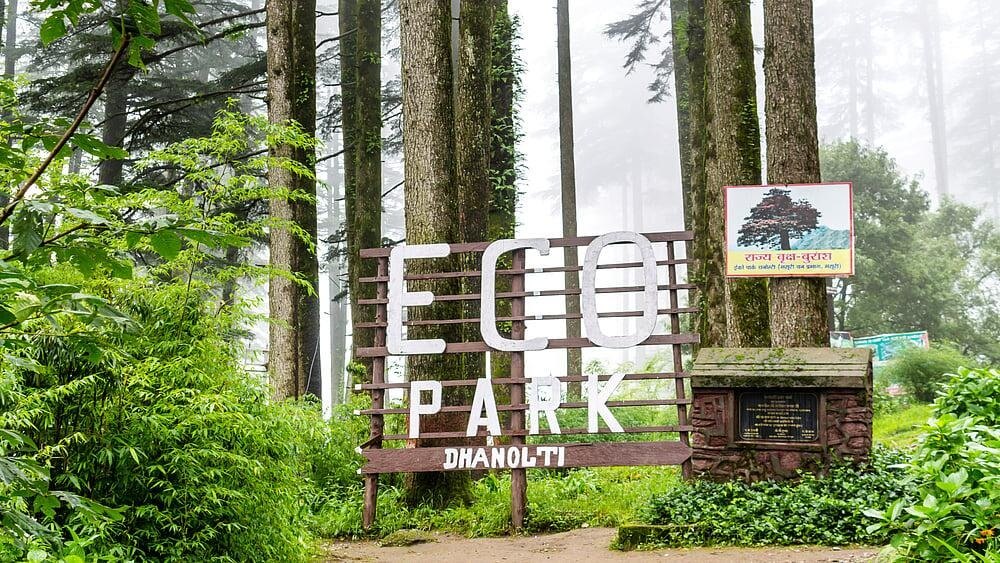 Dehradun & Dhanaulti — Himalayan forest landscape