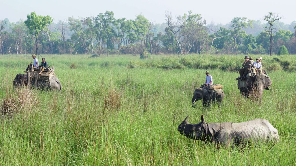 Dudhwa National Park, Uttar Pradesh