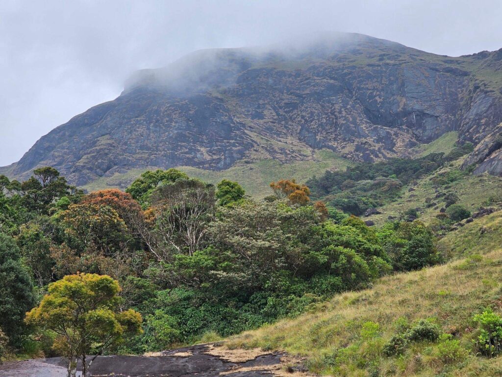 Eravikulam National Park, Kerala