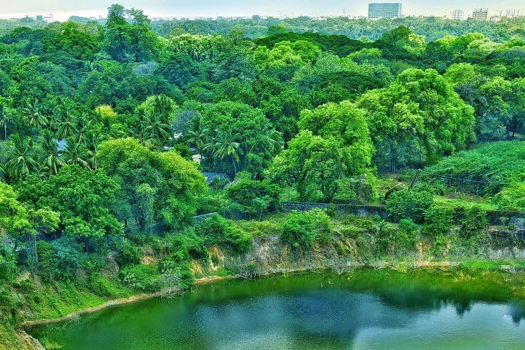 Guindy National Park, Tamil Nadu