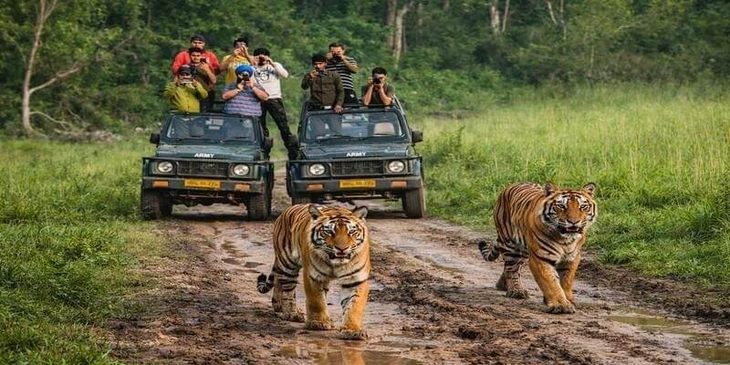 Jim Corbett National Park, Uttarakhand