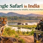 Jungle Safari in India