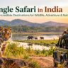 Jungle Safari in India