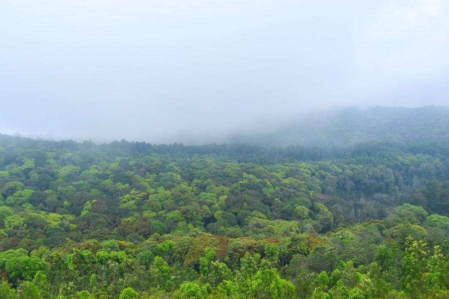 Mathikettan Shola National Park, Kerala