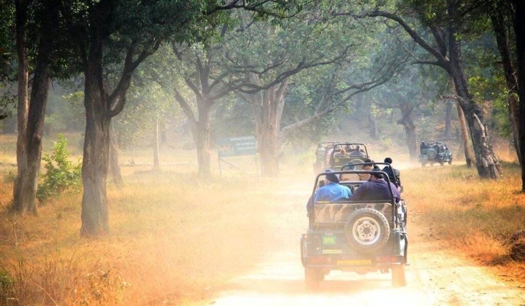 Mudumalai Tiger Reserve, Tamil Nadu