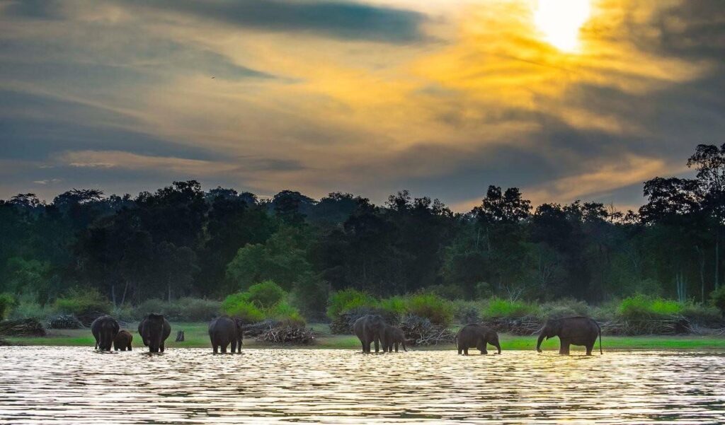 Nagarhole National Park, Karnataka