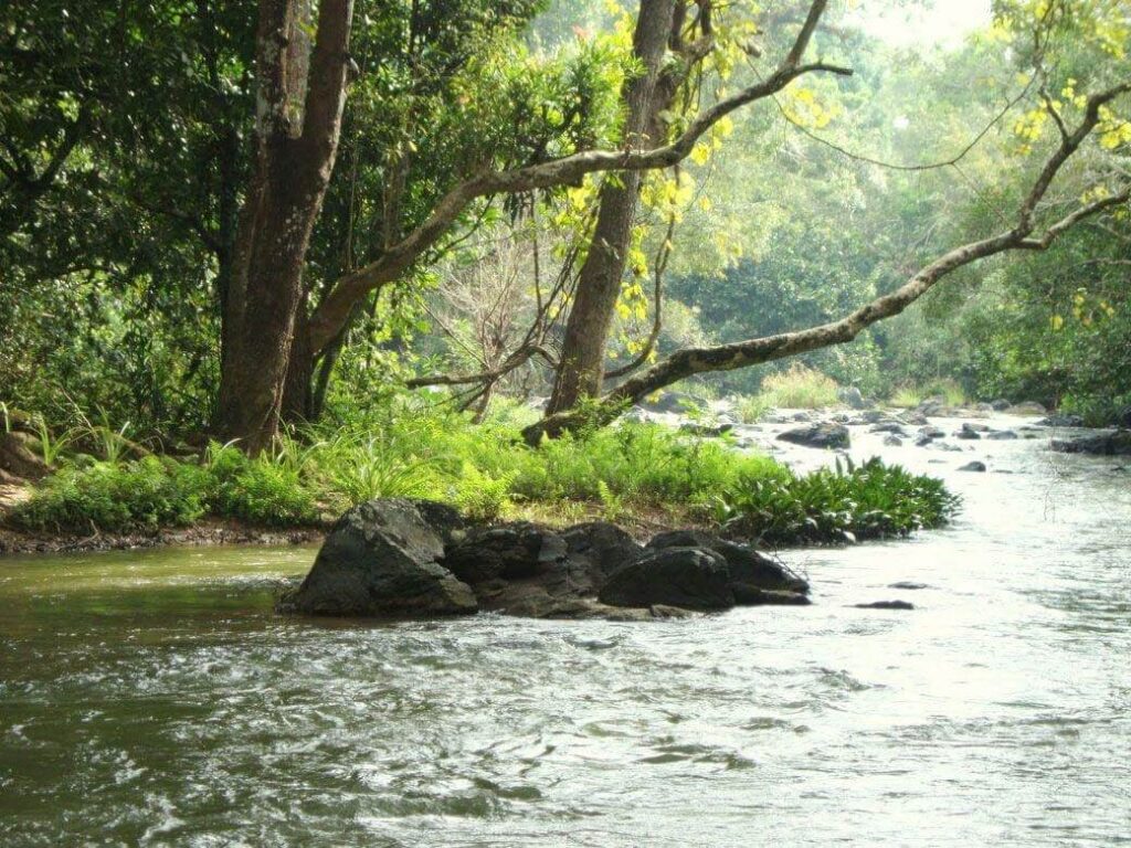 Nagarhole National Park, Karnataka
