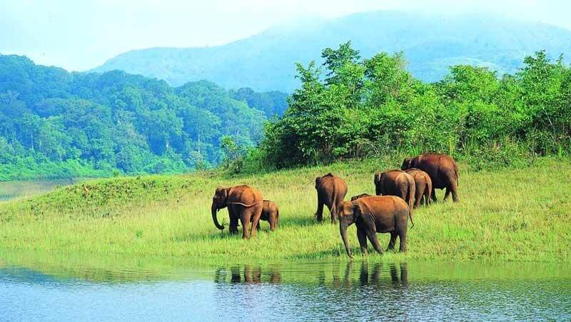 Periyar Tiger Reserve, Kerala