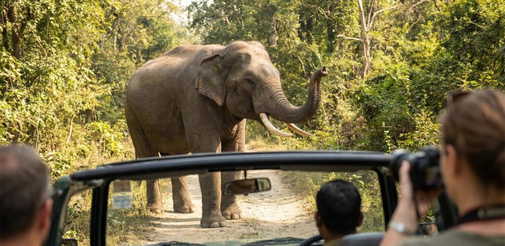 Rajaji Tiger Reserve, Uttarakhand