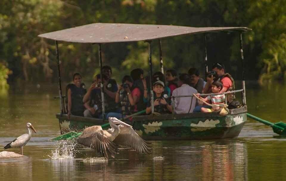 Ranganathittu Bird Sanctuary, Karnataka