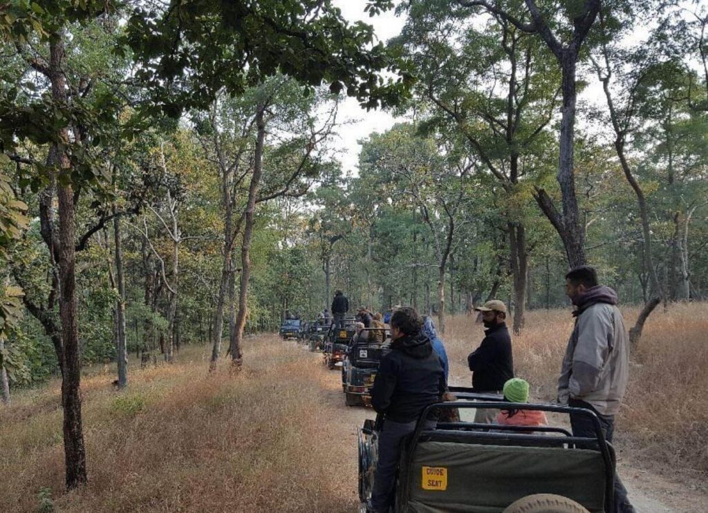 Satpura National Park, Madhya Pradesh