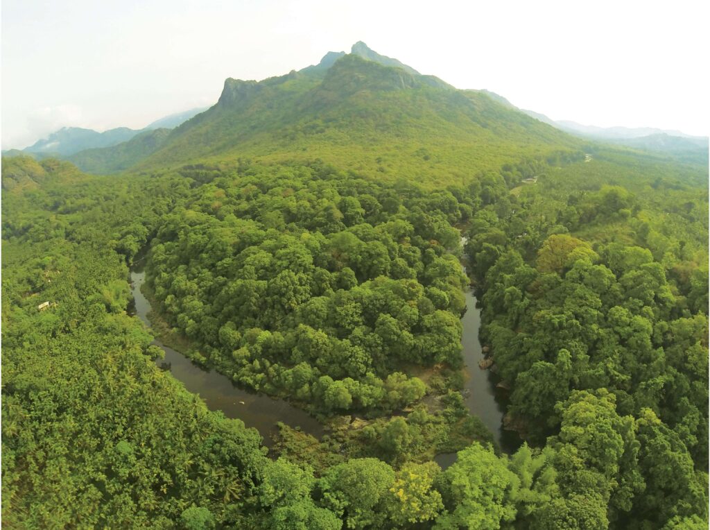 Silent Valley National Park, Kerala