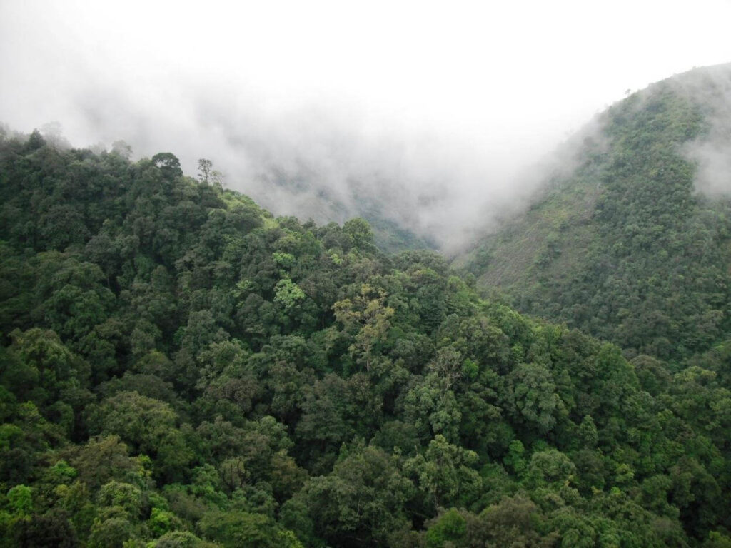 Silent Valley National Park, Kerala