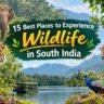 Wildlife Places in South India