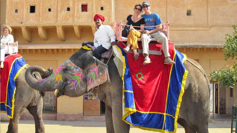 golden triangle tour elephant ride jaipur