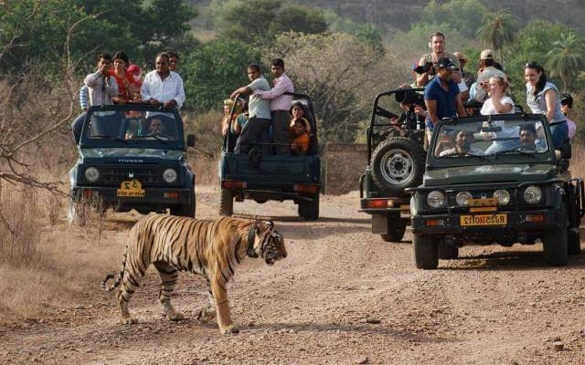 assets/images/web-images/packages/jim-corbett-national-park.jpg