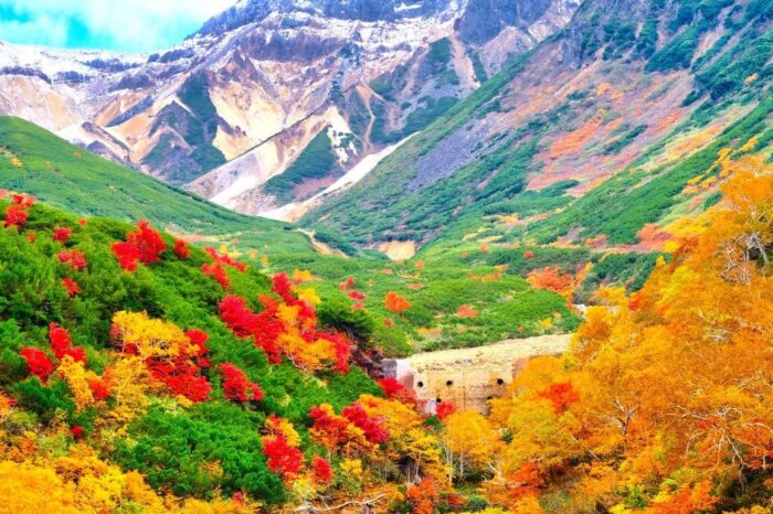 Japan