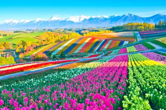 Discover Japan